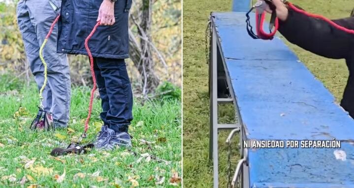 Un video grabado en Berlín muestra a personas caminando con correas sin mascotas, lo que ha generado debate en redes sociales