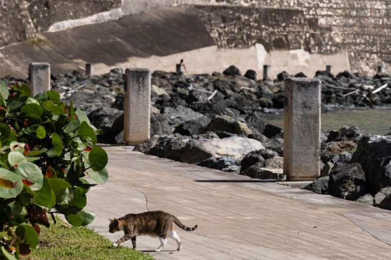 Las partes acordaron que la dependencia federal no tomó las decisiones que supuestamente provocan los daños reclamados