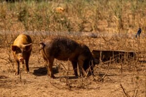 Los bomberos investigan la causa y el origen del siniestro