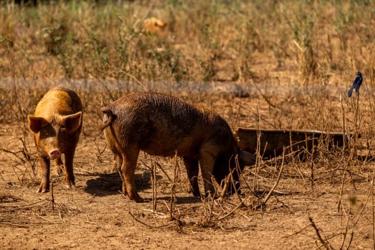 Los bomberos investigan la causa y el origen del siniestro