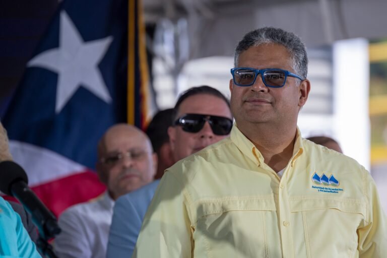 En vista pública, Luis González Delgado arguyó que no recibió informe de transición al asumir el puesto y no pudo especificar cuántos clientes se suplen del servicio en la capital