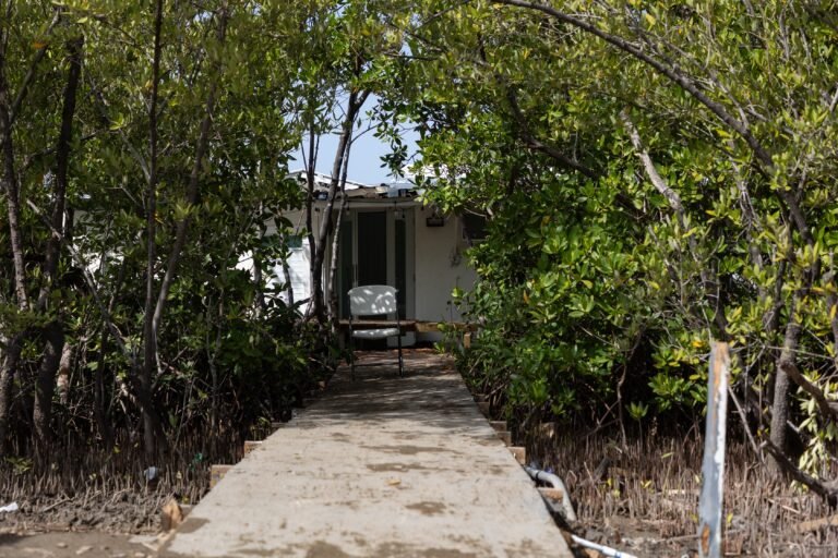 Con un informe negativo, el presidente Thomas Rivera Schatz reiteró que crearía “un riesgo sustancial” en la reserva natural