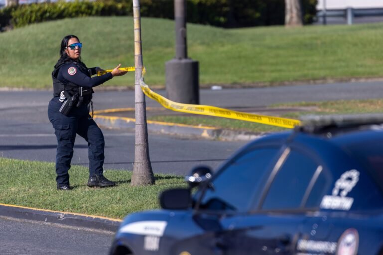 El occiso fue identificado como José Aníbal Pérez Melón, de 62 años