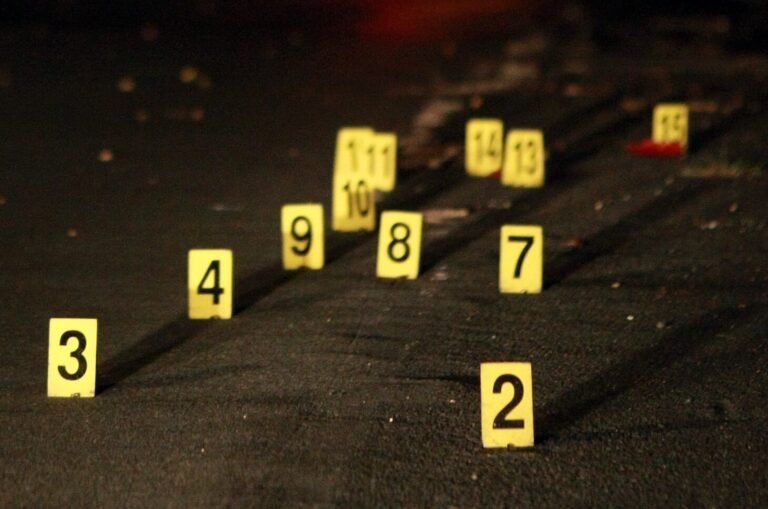 Una llamada al Sistema de Emergencias 9-1-1 alertó a las autoridades sobre disparos