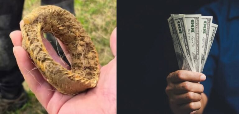 El objeto podría entrar al mercado privado, con la compensación económica repartida entre el descubridor y el propietario del terreno