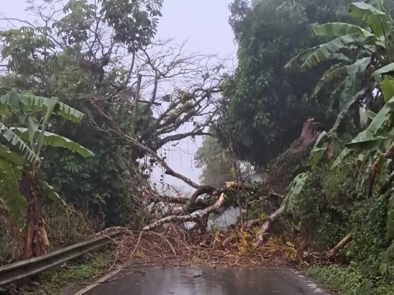 El incidente ocurrió en la carretera PR-749, kilómetro 4.2, en el barrio Quebrada Grande