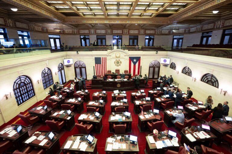 Asimismo, se derrotó el Proyecto de la Cámara 95, que proponía el desarrollo de un protocolo para manejar situaciones de violencia de género en los espacios laborales