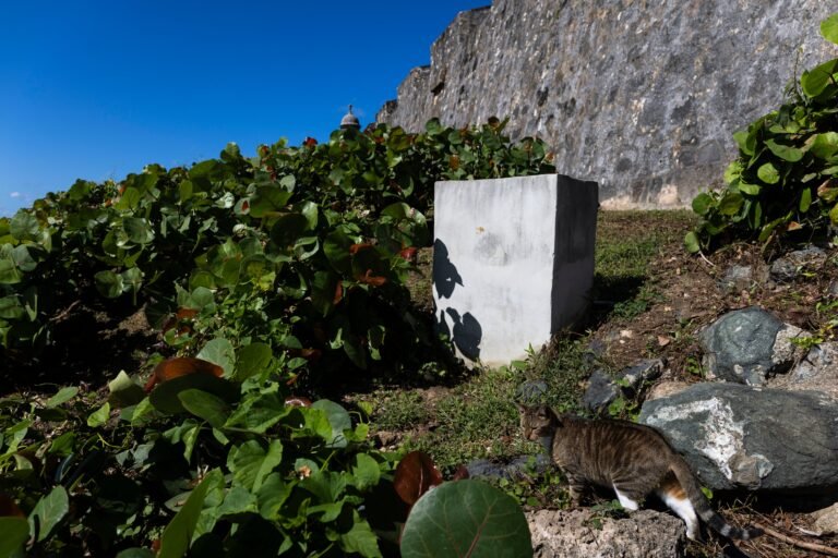 La clausura parcial del camino que bordea el Castillo San Felipe del Morro podría comenzar tan pronto como este lunes