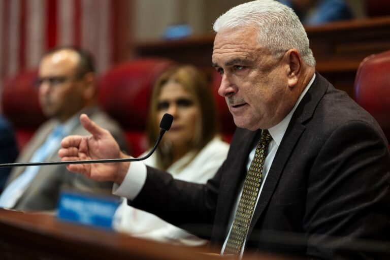 La medida responde, según el presidente del Senado, a un reclamo de acceso a información detallada sobre los contratos que maneja la agencia