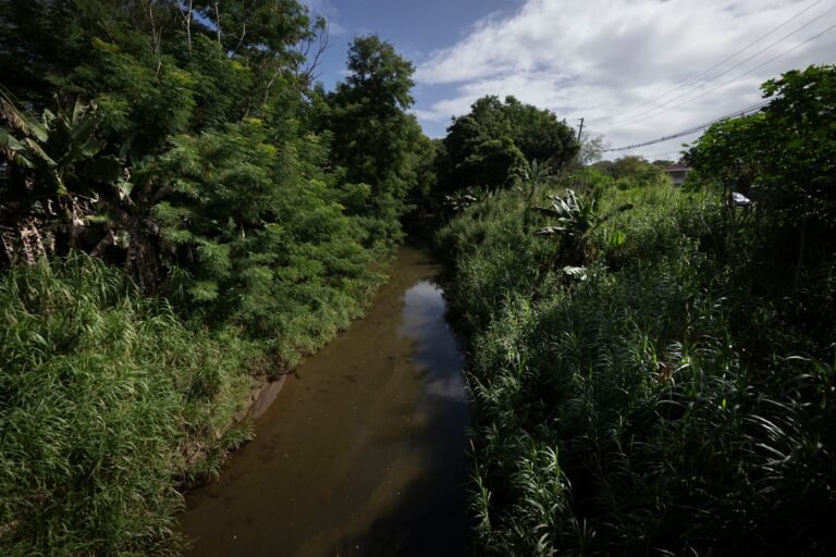 Las obras propuestas incluyen el reemplazo de puentes y trabajos que, según el liderato comunitario, eliminaría áreas verdes y crearía barreras físicas