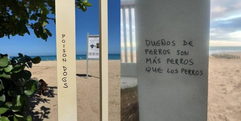 La Policía Municipal de San Juan indaga sobre las alarmantes denuncias que surgieron en las redes sociales