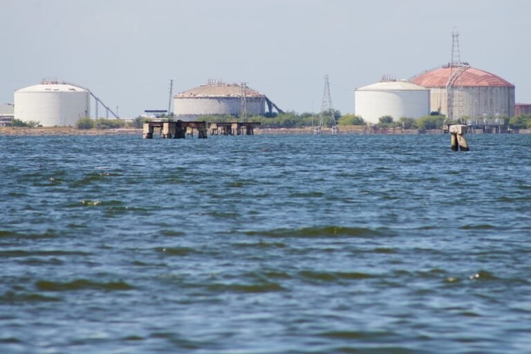 Esto es lo más reciente que ha ocurrido en la industria tras los últimos movimientos de la administración de Donald Trump