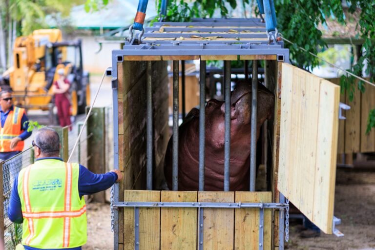 La votación a favor de la medida representa el primer paso para iniciar la pesquisa