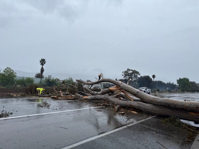 Algunas zonas de Los Ángeles fueron puestas bajo advertencia de inundaciones repentinas