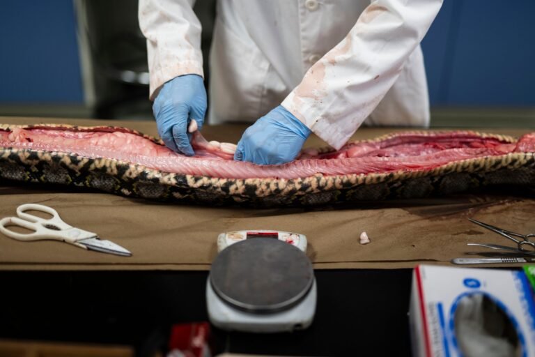 El secretario Waldemar Quiles estimó que no es necesario declarar una emergencia ambiental, como solicitó una alianza multisectorial