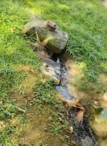 Sin embargo, la administración descartó evidencia de contaminación