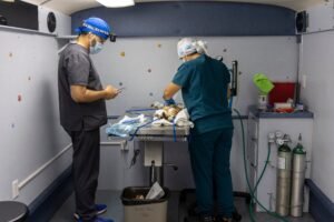 El Municipio de San Juan lleva los servicios veterinarios directamente a las comunidades mediante su Unidad Móvil Amigo Fiel
