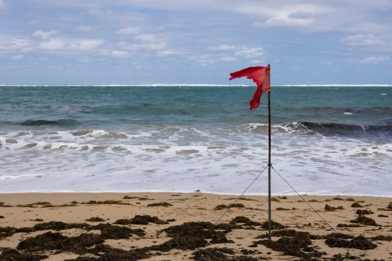 Asimismo, el Servicio Nacional de Meteorología adelanta cómo estarán las condiciones marítimas en Semana Santa