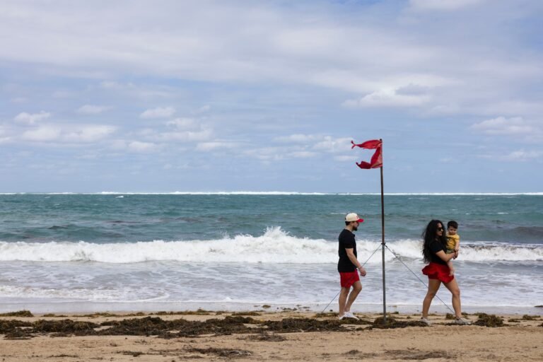 La iniciativa incluirá monitoreo constante del tiempo, despliegue de personal y coordinación entre agencias estatales y federales