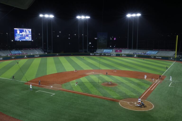 Además fue líder de la Confederación de Béisbol Profesional del Caribe y secretario de Justicia