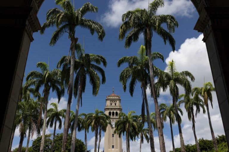 La presidenta de la UPR designó a la doctora Mayra Charriez Cordero para asumir el cargo