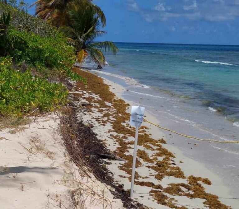 El acceso a parte de la playa Flamenco fue cerrado en espera de las autoridades federales