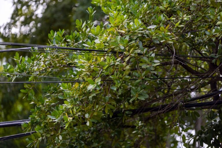 El consorcio propuso la formulación de, al menos, 30 obras nuevas, mientras la empresa estatal exigió proceder con una “reconciliación” de gastos ya incurridos