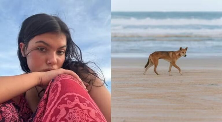 Según las autoridades, Piper James acampaba en la zona cuando fue atacada por un dingo y terminó ahogada