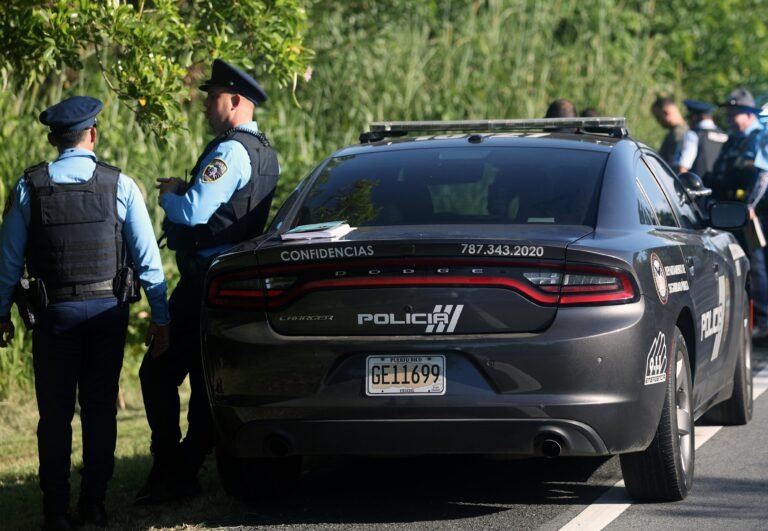 La División de Homicidios de la región de Fajardo está a cargo del caso