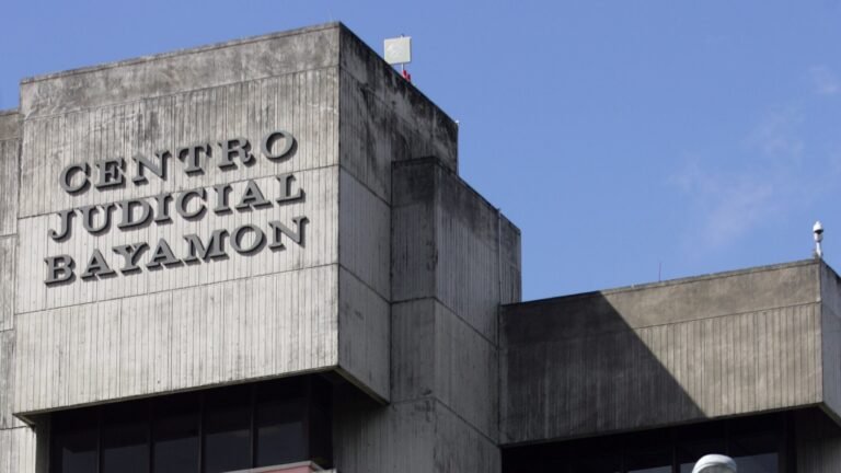 El tribunal concluyó que existe una posibilidad de que la adolescente pueda experimentar fuertes emociones que le pudieran impedir ofrecer el testimonio presencialmente