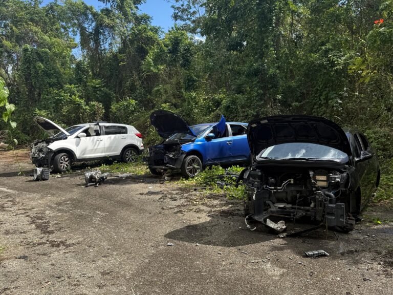 Una confidencia alertó a la Policía sobre un lugar presuntamente utilizado por una pandilla para disponer de vehículos robados