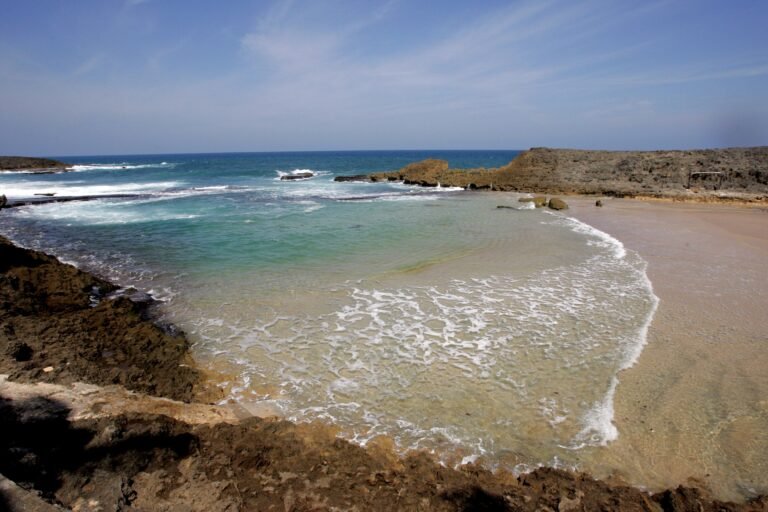 Una llamada al Sistema de Emergencias 9-1-1 alertó a las autoridades sobre el suceso