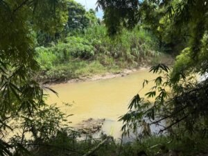 La humedad en el área comenzará a reducirse desde el lunes hasta finales de la semana