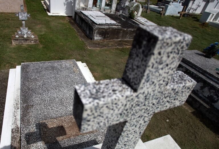 Un jardinero, vecino del cementerio donde ocurrieron los hechos, fue quien se dio cuenta