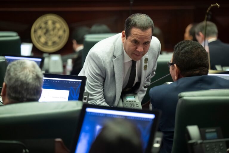 El proyecto de ley, de la autoría del legislador del PNP Jorge “Georgie” Navarro, podría poner en manos privadas funciones de la Oficina del Alcalde y la Oficina de Finanzas Municipales y de Presupuesto