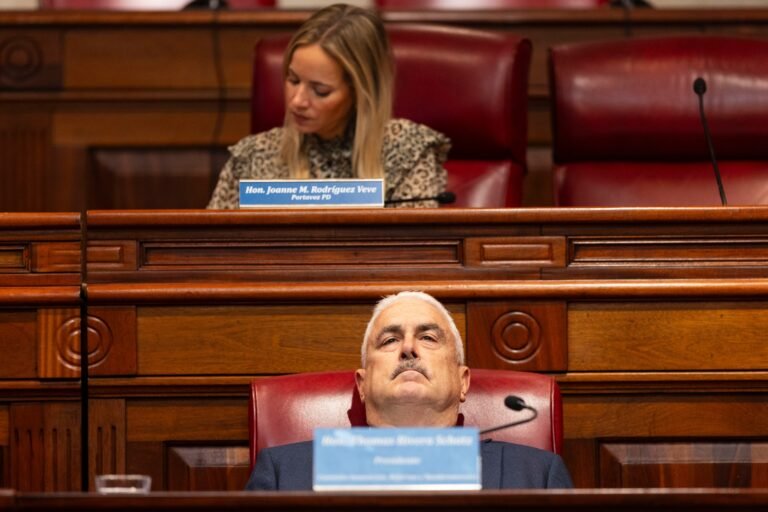 El presidente Thomas Rivera Schatz adelantó que le solicitaría a Justicia la información relacionada con la denuncia levantada, en 2022, contra la hoy secretaria de Hacienda, Suzanne Roig