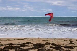 En cuanto al tiempo, en horas de la tarde se espera el desarrollo de aguaceros aislados a lo largo de la cordillera central