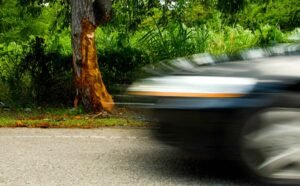 La víctima, que intentaba cruzar una vía pública, no ha sido identificada por la Policía