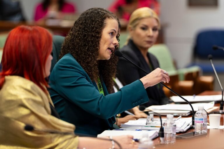 La ejecutiva acudió este viernes a su primera vista legislativa desde que asumió las riendas del consorcio