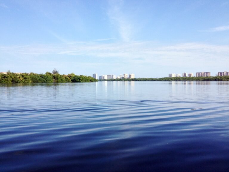 Al momento, se desconoce la causa de muerte y las circunstancias que rodean los hechos