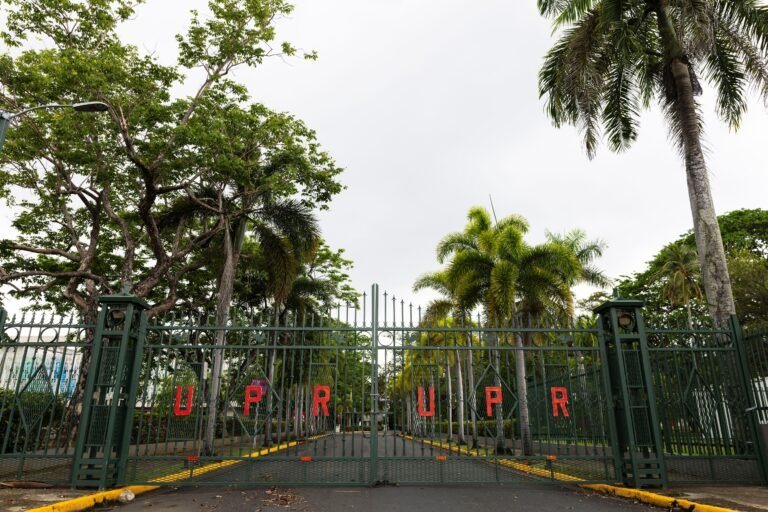 Grupo de docentes rechaza que las luchas protagonizadas por universitarios provoquen baja en la cantidad de alumnos de nuevo ingreso