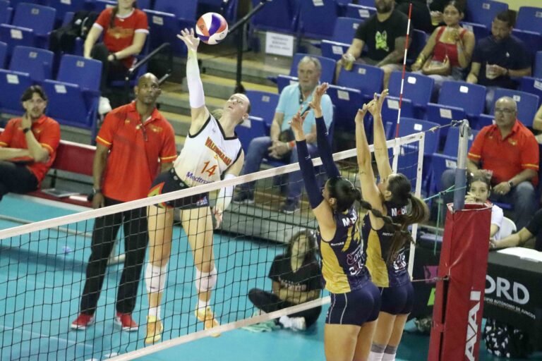 La serie, a un máximo de siete encuentros, comenzará este domingo en el Coliseo Roberto Clemente