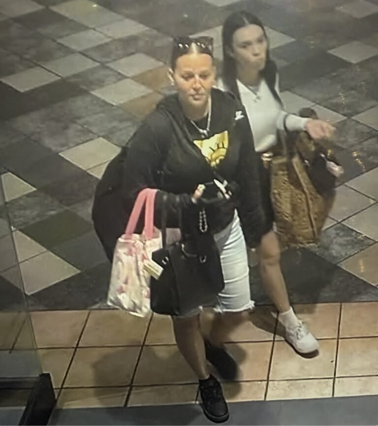 La apropiación ilegal ocurrió en una tienda de un centro comercial en la zona metropolitana, informó la Policía de Puerto Rico