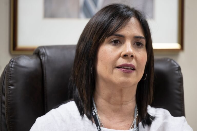 Se trata de la segunda auditoría que Carmen Vega Fournier firma en cinco meses