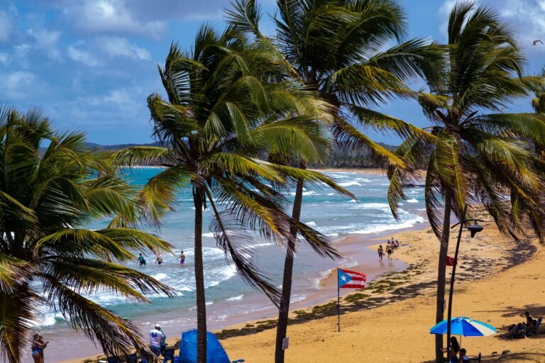 La mujer, que aún no ha sido identificada, residía en el estado de Carolina del Norte