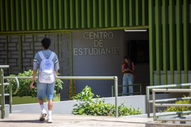 La Fundación Ceiba atribuyó la determinación de suspender su programa por la inestabilidad del sistema universitario