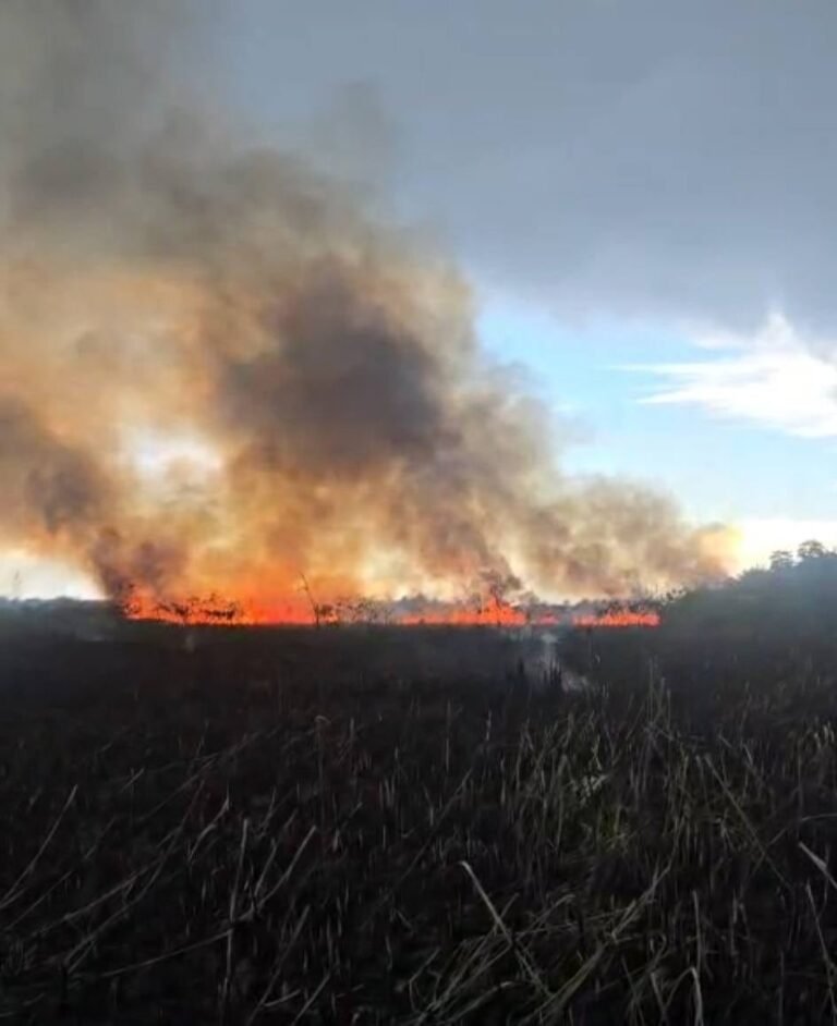 Debido a la gran cantidad de humo, se exhortó a la comunidad a ejercer precaución
