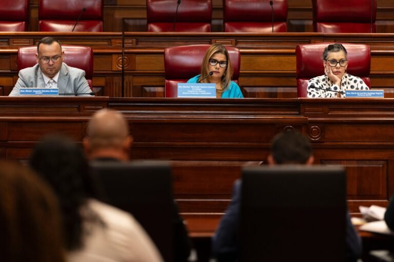 En tanto, el secretario del DRNA, Waldemar Quiles Pérez, argumentó que el proyecto de ley “no le roba las playas a nadie”