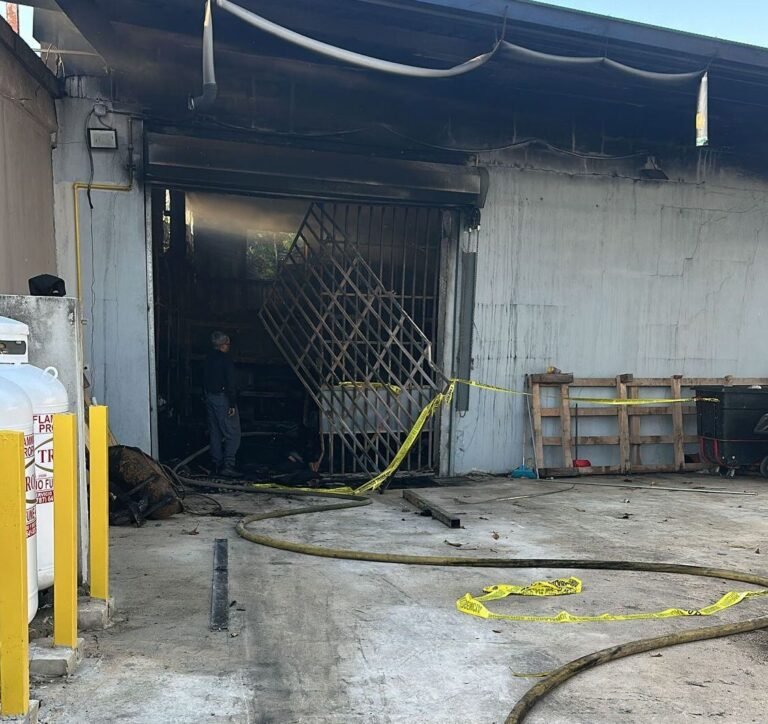 Fue necesaria la intervención de las unidades de Toa Baja, Cataño y Bayamón para extinguir las llamas