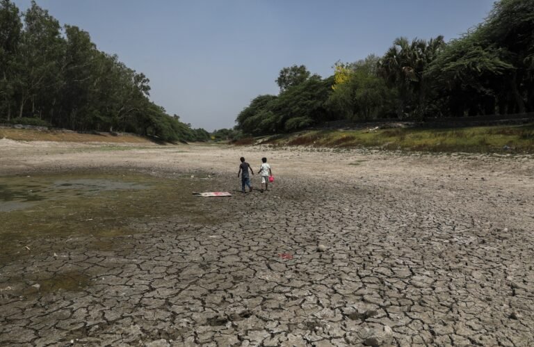 La situación ocurre en medio de temperaturas que alcanzan los 116 grados